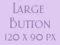 Large button 120 x 90