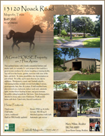Fully customized real estate listing flyer