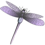 Dragonfly Services