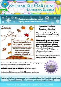 E-newsletter for Sycamore Gardens Landscape Services