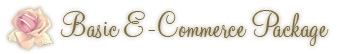 Basic E-Commerce Web Design Packages