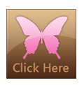 Brown and pink web 2.0 butterfly website button