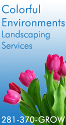 Banner Ad for Colorful Environments
