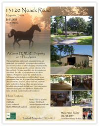 Realtor Flyer for ranch property with horses