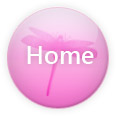 Pink web 2.0 Dragonfly Button